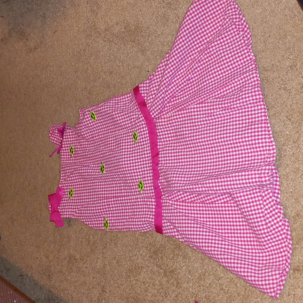 Pink with Turtles Embroidered Dress